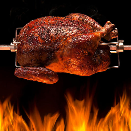 Lifespace Rotisserie Motor - Lifespace