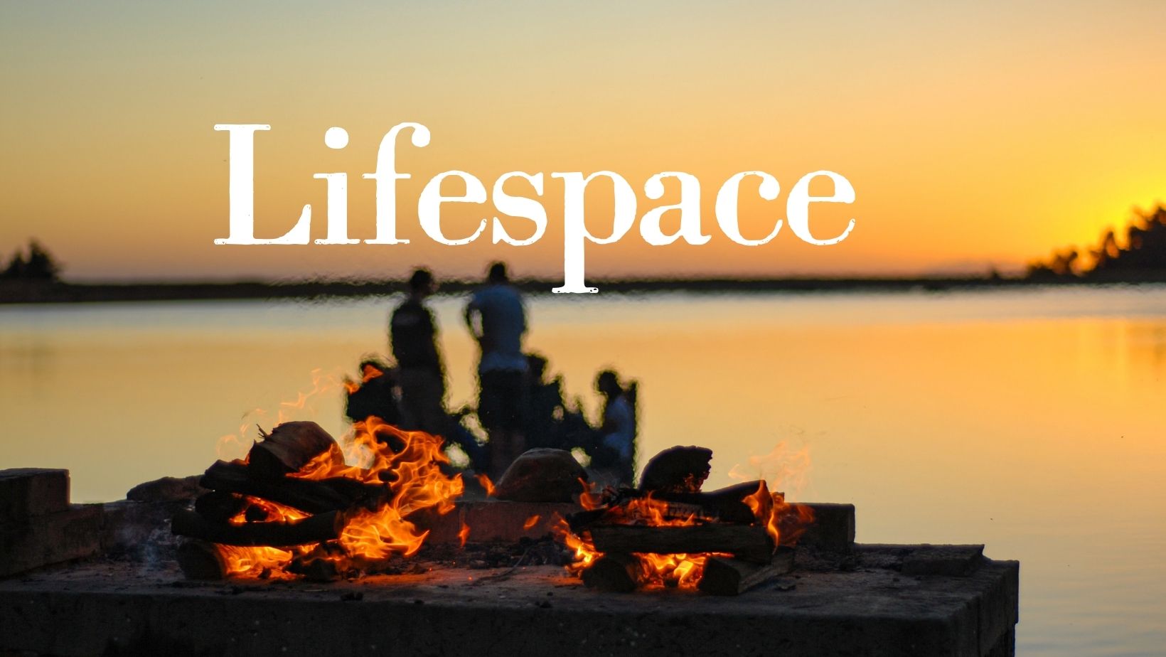 Contact Us Lifespace