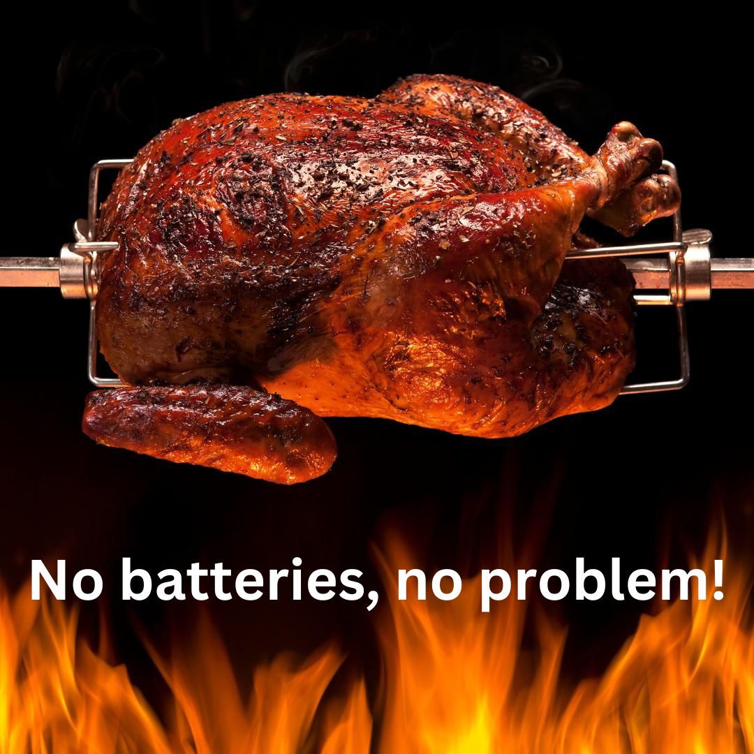Lifespace Silent Rotisserie Motor + 220V Adaptor Plug Combo Deal - Lifespace