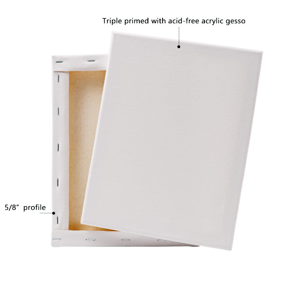 Artecho Stretch Canvas 6 Set Value Pack White - 8" x 10" - Lifespace