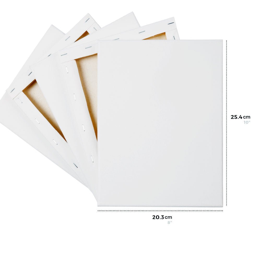 Artecho Stretched Canvas 6 Set Value Pack White - 30cm x 30cm - Lifespace