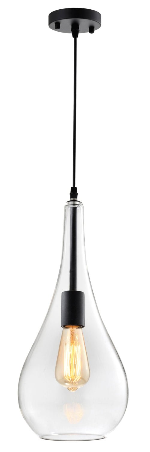 Black Metal Pendant With Clear Glass - Lifespace