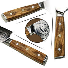 Load image into Gallery viewer, Lifespace Luxury 5&quot; Utility Olive Wood Full Tang Damascus Knife - Lifespace