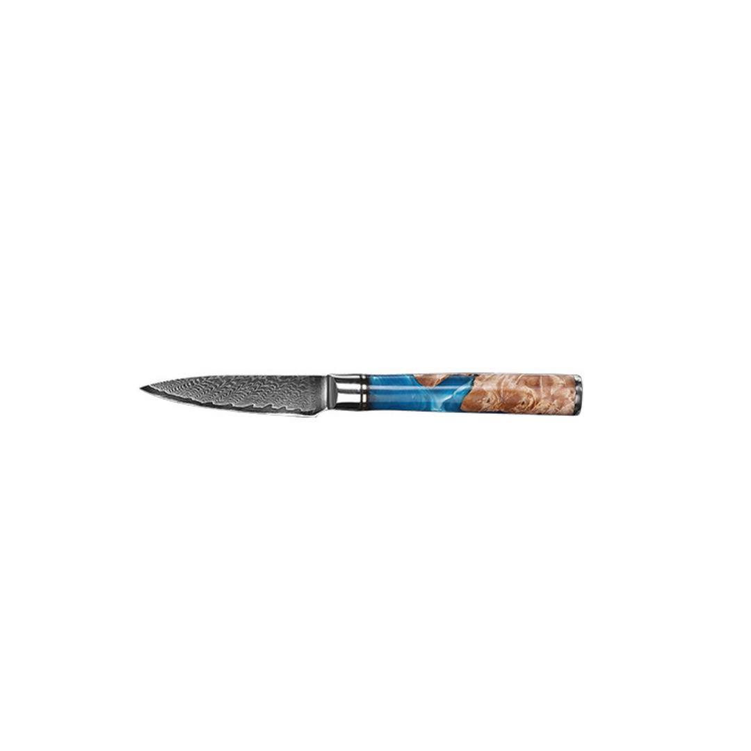Lifespace Premium 3,5" Paring Knife with Resin Handle & Full Tang Damascus Blade - Lifespace