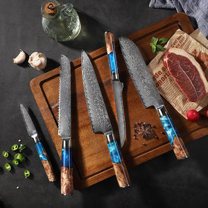 Lifespace Premium 9,5" Chef Knife w/ Resin Handle & Full Tang Damascus Blade - Lifespace