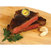 Load image into Gallery viewer, Lifespace Steak Button Thermometers - reusable 4 pack - Lifespace