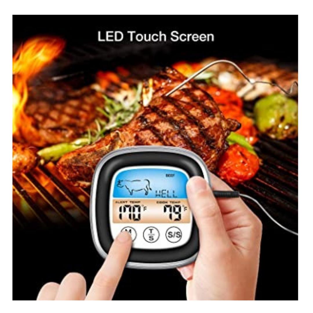Touch Screen Thermometer and Timer